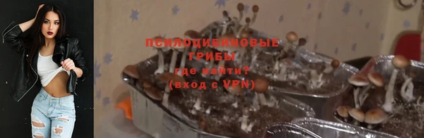 a pvp Алексин