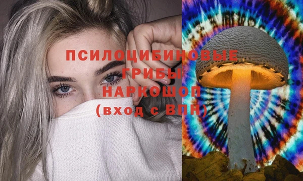 a pvp Алексин
