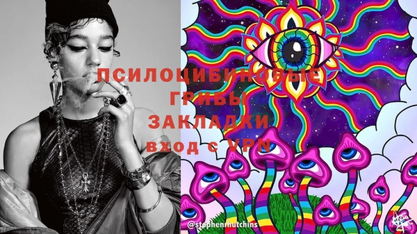 ГАЛЛЮЦИНОГЕННЫЕ ГРИБЫ Алексеевка