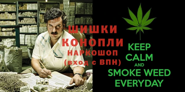 ГАЛЛЮЦИНОГЕННЫЕ ГРИБЫ Алексеевка