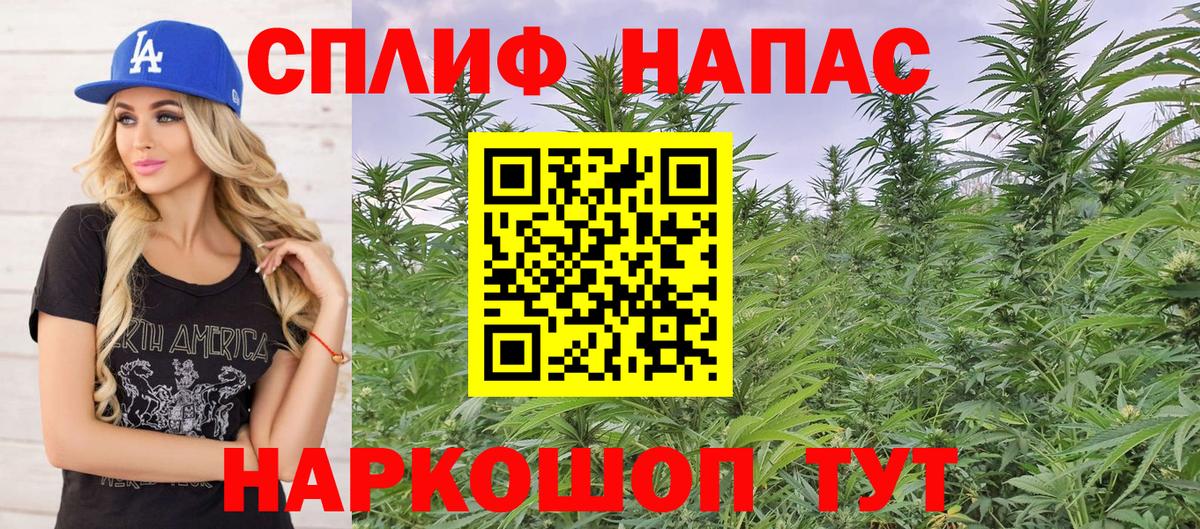 Канабис MAZAR  МАРИХУАНА ГИДРОПОН  Вход с VPN  Балашиха 